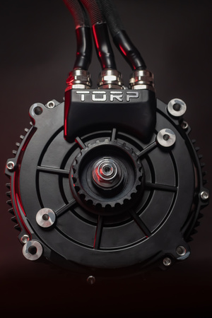 MOTOR TORP TM25 Sur-Ron