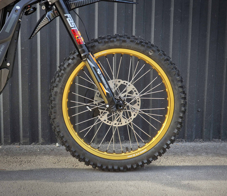 79BIKE Falcon PRO, Le1,10kW, 16/19 Edition 96 Power Parts