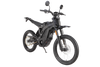 ERIDE PRO SS 3.0 L1e 
